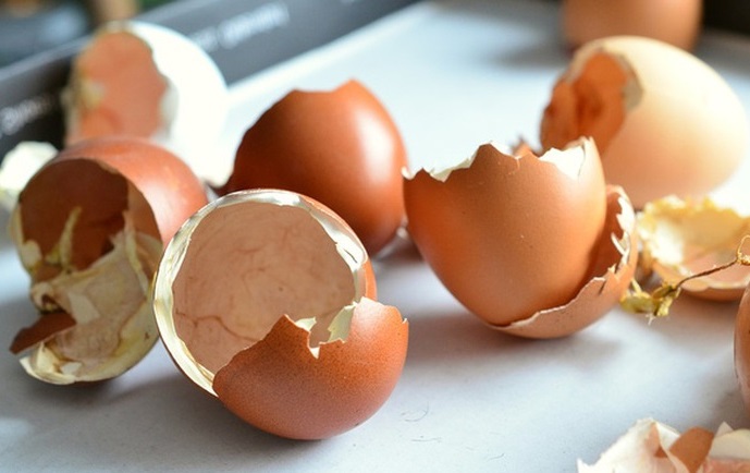 Vỏ trứng gà làm sạch vết bẩn